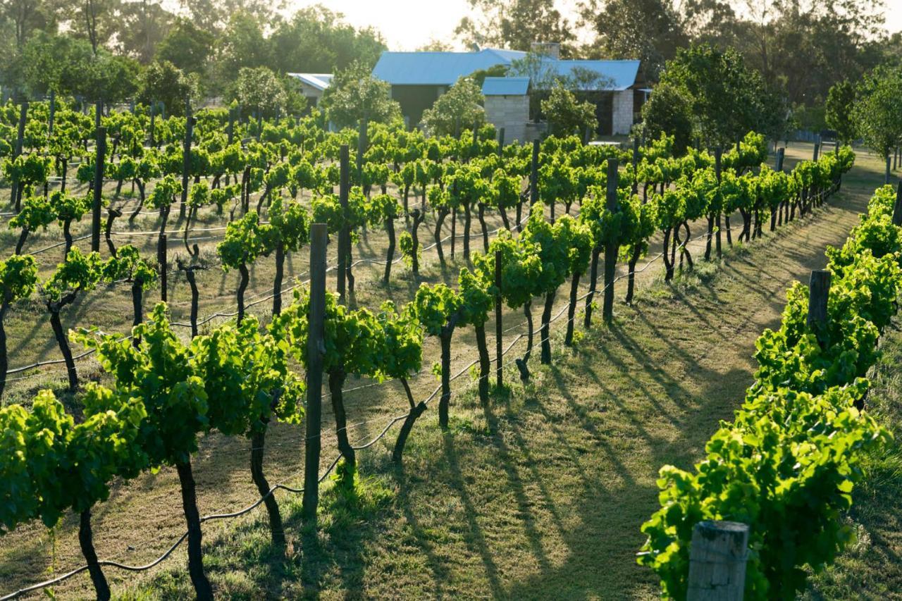 Thistle Hill Guesthouse - Walk To Many Wineries And Restaurants Pokolbin Eksteriør bilde