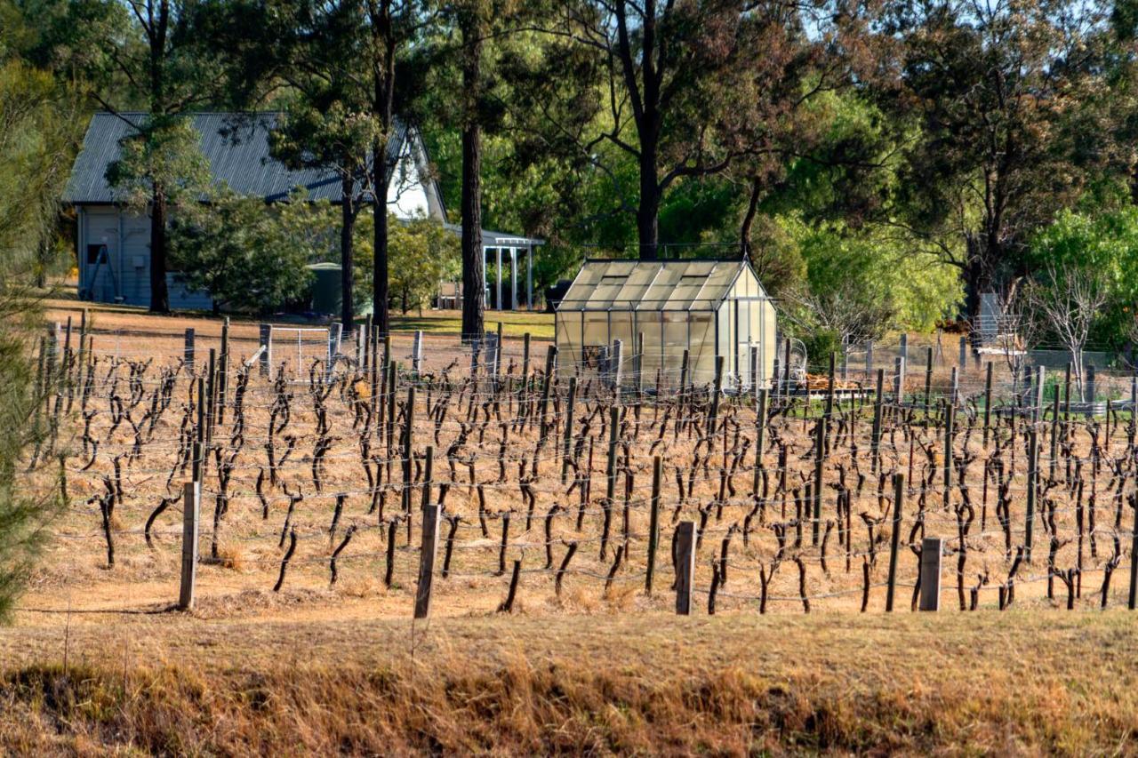 Thistle Hill Guesthouse - Walk To Many Wineries And Restaurants Pokolbin Eksteriør bilde