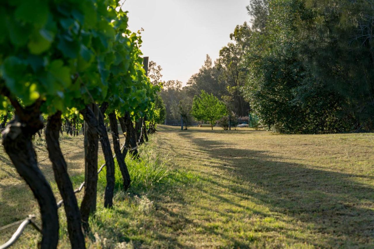 Thistle Hill Guesthouse - Walk To Many Wineries And Restaurants Pokolbin Eksteriør bilde