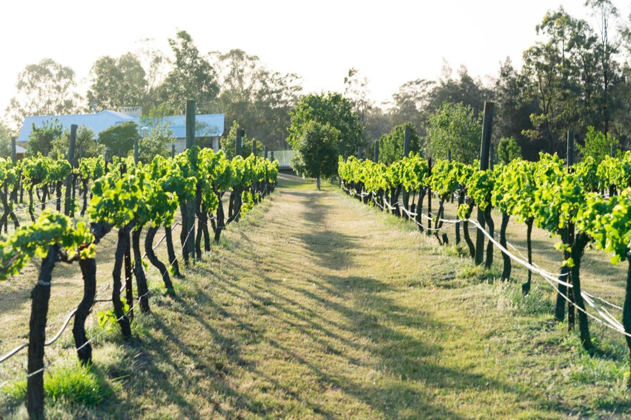 Thistle Hill Guesthouse - Walk To Many Wineries And Restaurants Pokolbin Eksteriør bilde